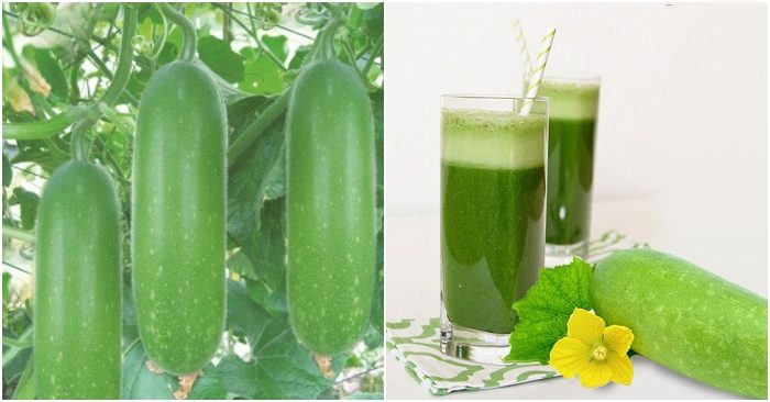 Nước ép bí đao giúp tăng cường hệ miễn dịch cơ thể