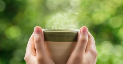 3 loại trà hỗ trợ kháng khuẩn và kháng virus, cải thiện sức đề kháng cho cơ thể