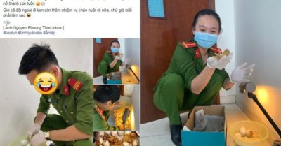 Rổ trứng dân tặng chưa kịp ăn đã nở thành đàn vịt, cả đội chống dịch bỗng dưng thành “bố mẹ”