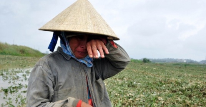 Một khoảnh khắc của người nông dân Việt.