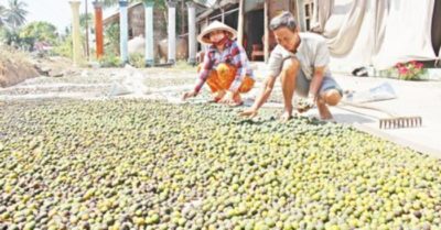 Làm giàu từ những quả cam còi cọc, thẹo vít