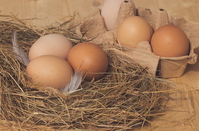 Bảo quản trứng tốt trong tủ lạnh nhiệt độ từ 4-10 độ C.