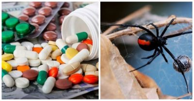 Cập nhật trưa 27/5: 3 anh em nhập viện vì cho nhện độc cắn để thành người nhện; Thu hồi thuốc điều trị huyết áp và suy tim không đạt chất lượng