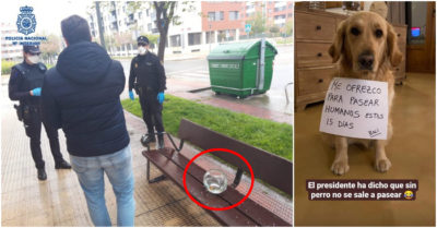 Lách lệnh cách ly, người đàn ông đưa.. cá vàng đi dạo. Người khác còn ‘sáng tạo’ hơn