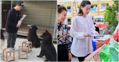 Hai chú chó của nam diễn viên nhảy qua hàng rào, tấn công cụ bà hơn 80 tuổi bị thương