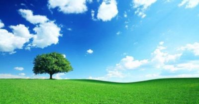 UNEP công bố 9 start-up giúp thay đổi môi trường – 2 ứng viên Việt Nam nằm trong danh sách