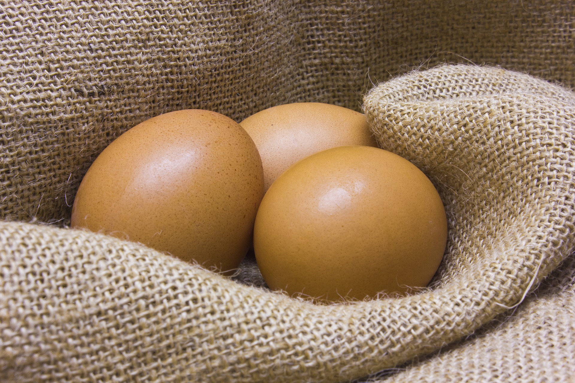 Giá trị dinh dưỡng từ trứng gà