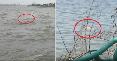 Hà Nội: Phát hiện thi thể nam giới nổi ven Hồ Tây