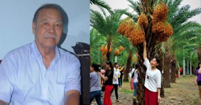 Tác giả “Về đây nghe em” qua đời; vườn chà là miền Tây gây sốt