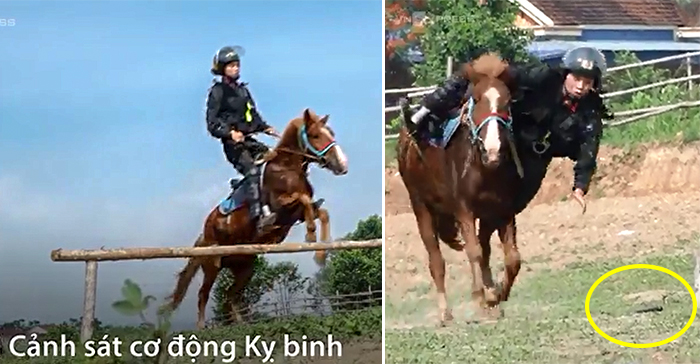 Kỵ binh Việt Nam huấn luyện ngựa