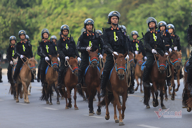 Đoàn Cảnh sát cơ động kỵ binh 