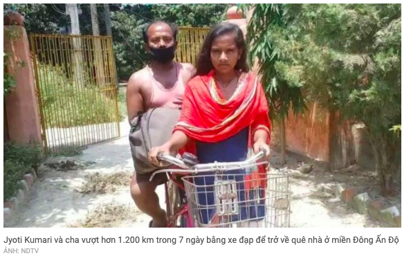 Ấn Độ làm phim về cô bé đạp xe chở cha về quê xa 1.200 km