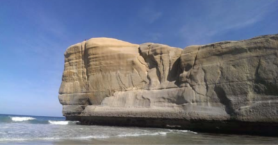 Bãi biển “trinh trắng” và đường hầm phụ tử ở Dunedin, New Zealand