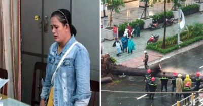 Tổng hợp tối 24/9: Cây dầu bật gốc, đè người đi đường ở TP. HCM; Ăn chặn trên 2 tỷ đồng tiền hỗ trợ người nghèo, Chủ tịch và kế toán xã bị khởi tố