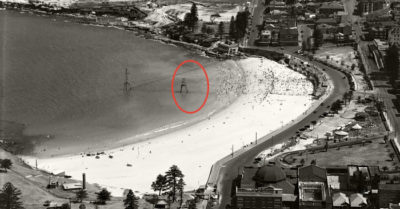 Úc: Cá mập nôn ra cánh tay người ở thuỷ cung