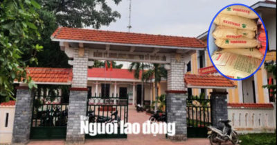 Quảng Bình: Huyện cấp 8 tạ lúa giống cho dân, xã “ngâm kho” hết hạn nên đem bán cho vịt ăn