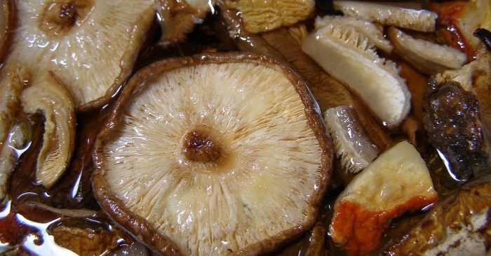 nam-huong-mon-an-bai-thuoc