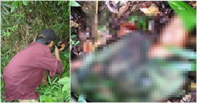 Thợ săn khai do súng cướp cò khiến bạn đi cùng trúng 13 viên đạn