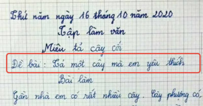 Đề bài yêu cầu tả cây mà em thích nhất, phụ huynh đọc xong nói “xứng đáng 10 điểm”