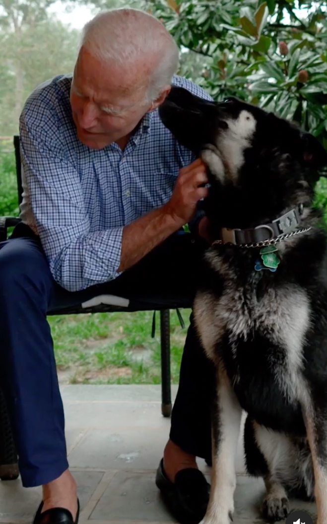Cựu Phó Tổng thống Mỹ Joe Biden chơi với chú chó Major của ông