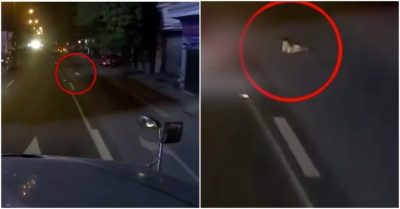 CLIP: Tài xế phát hiện vật thể lạ bò trên đường, gần tới nơi nhận ra là… em bé