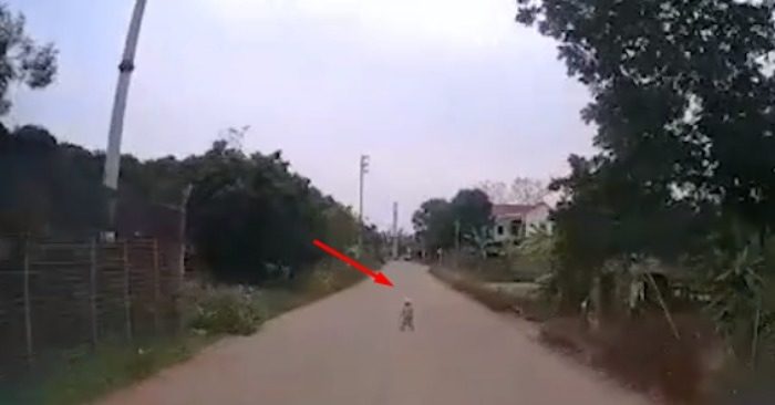 Đứa trẻ chập chững ra giữa đường mà không có người lớn đi cùng
