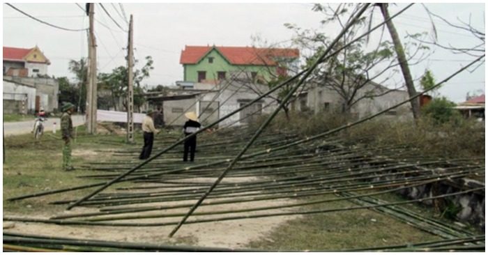 dựng nêu