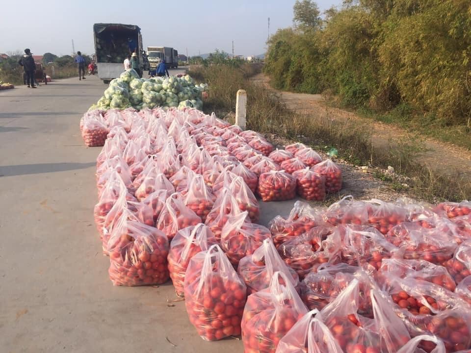 Cà chua, bắp cải... chờ lên xe vận chuyển (ảnh: Facebook Lê Quyên).