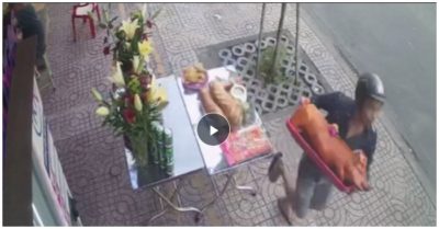 Video chủ nhà chưa kịp thắp hương cúng đã bị trộm bê mất con heo quay
