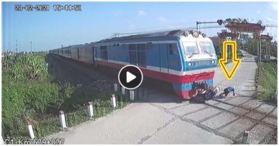 Video va vào cần chắn tự động rồi ngã nhào, người đàn ông suýt bị tàu chèn thiệt mạng