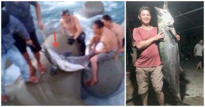 Video người dân câu được cá thu nặng gần 50kg ở cửa biển, về tặng hàng xóm chứ không bán