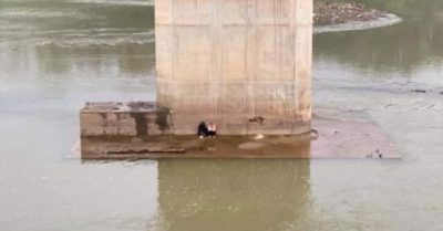 Thực hư sự việc đôi nam nữ cùng nhảy cầu rồi lại bơi vào