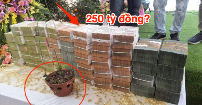 Điểm tin 29/3: ‘Cá mập nuốt cá con’ trong vụ lan đột biến giá trăm tỷ; Chính quyền Biden ngăn nghị sỹ quay video