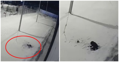 Video em bé 5 tuổi rơi từ tầng 12 xuống đất, lát sau tự ngóc đầu dậy