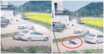 Video khoảnh khắc cụ ông lồm cồm bò dậy sau khi bị ôtô lùi trúng rồi kéo lê 7-8m