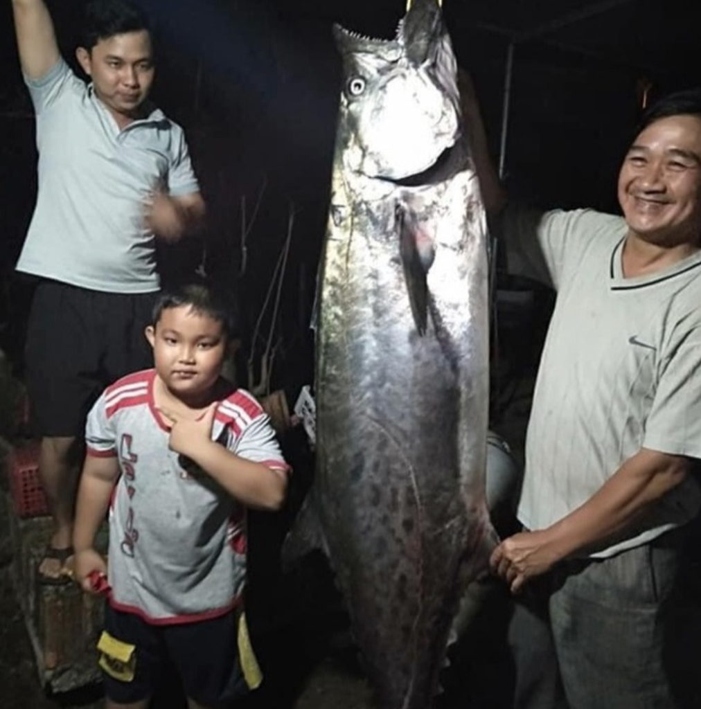 Người dân câu được cá thu nặng gần 50kg ở cửa biển...