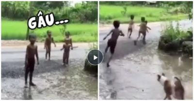 Video góc tuổi thơ: 4 cậu bé bỏ chạy ‘té khói’ sau khi trêu chó nhà hàng xóm