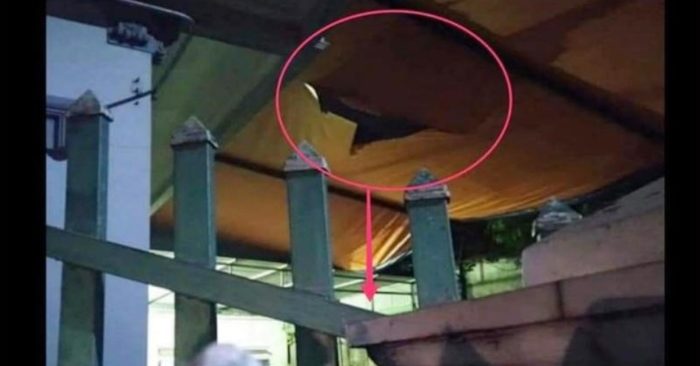 Vị trí cháu bé bị rơi xuống đất.