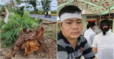 Chồng nữ điều dưỡng bị cây phượng đổ đè: ‘Còn cách nhà mấy bước chân mà vợ tôi không về kịp’