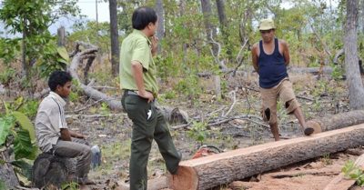 Điểm tin 16/4: Chủ tịch huyện thái độ khó hiểu; Romania cấm cửa Huawei Trung Quốc