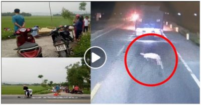 Video hơn 3 giờ sáng, tài xế phát hiện thi thể cụ ông gần 90 tuổi nằm giữa đường