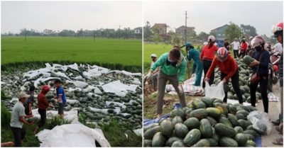 Người dân Hà Tĩnh chung tay giải cứu gần 30 tấn dưa hấu ‘tắm bùn’