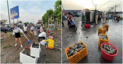 Video: Người dân chung tay nhặt giúp bác tài 3 tấn cá trên xe tải bị lật