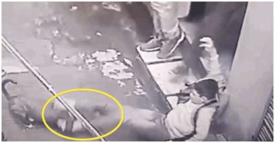 Video đi học về, cậu bé bị chó Pitbull ngoạm vào chân rồi tấn công kinh hoàng