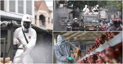 Cập nhật tối 1/6: Thêm 251 ca Covid-19 trong ngày; Bệnh nhân Bắc Giang trẻ tổn thương phổi nhanh; Trung Quốc phát hiện người đầu tiên nhiễm virus cúm gia cầm