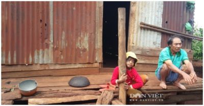 6 người trong gia đình bị ngộ độc sau khi ăn cháo bắp trộn nấm rừng