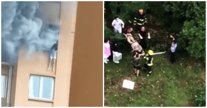 Cô gái cố gắng thoát ra khỏi đám cháy từ phía cửa sổ nhưng không may trượt chân rơi xuống bãi cỏ khu chung cư (ảnh chụp màn hình trên 163.com)