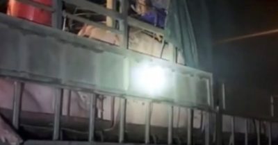 Vượt chốt kiểm dịch, 20 người nép mình trong xe chở lợn