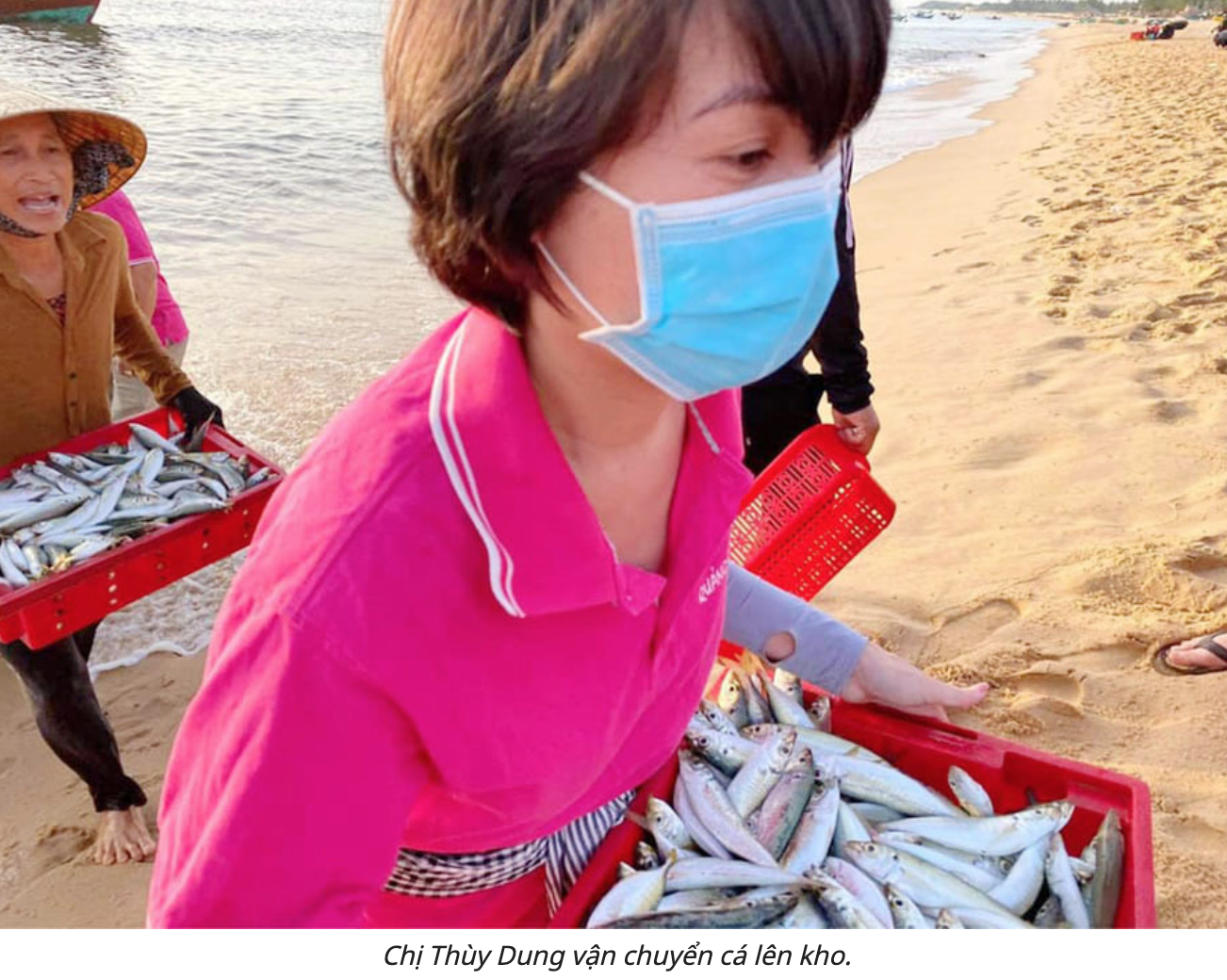 Thu mua cá ngay tại thuyền, rồi chuyển về sơ chế, sau đó đóng vào xe đông lạnh gửi đi TP. HCM (ảnh chụp màn hình trên báo VietNamNet).