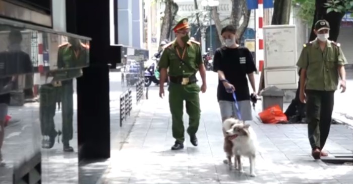 Chị H. bị bắt gặp dắt chó đi trên đường ở phường Hàng Trống